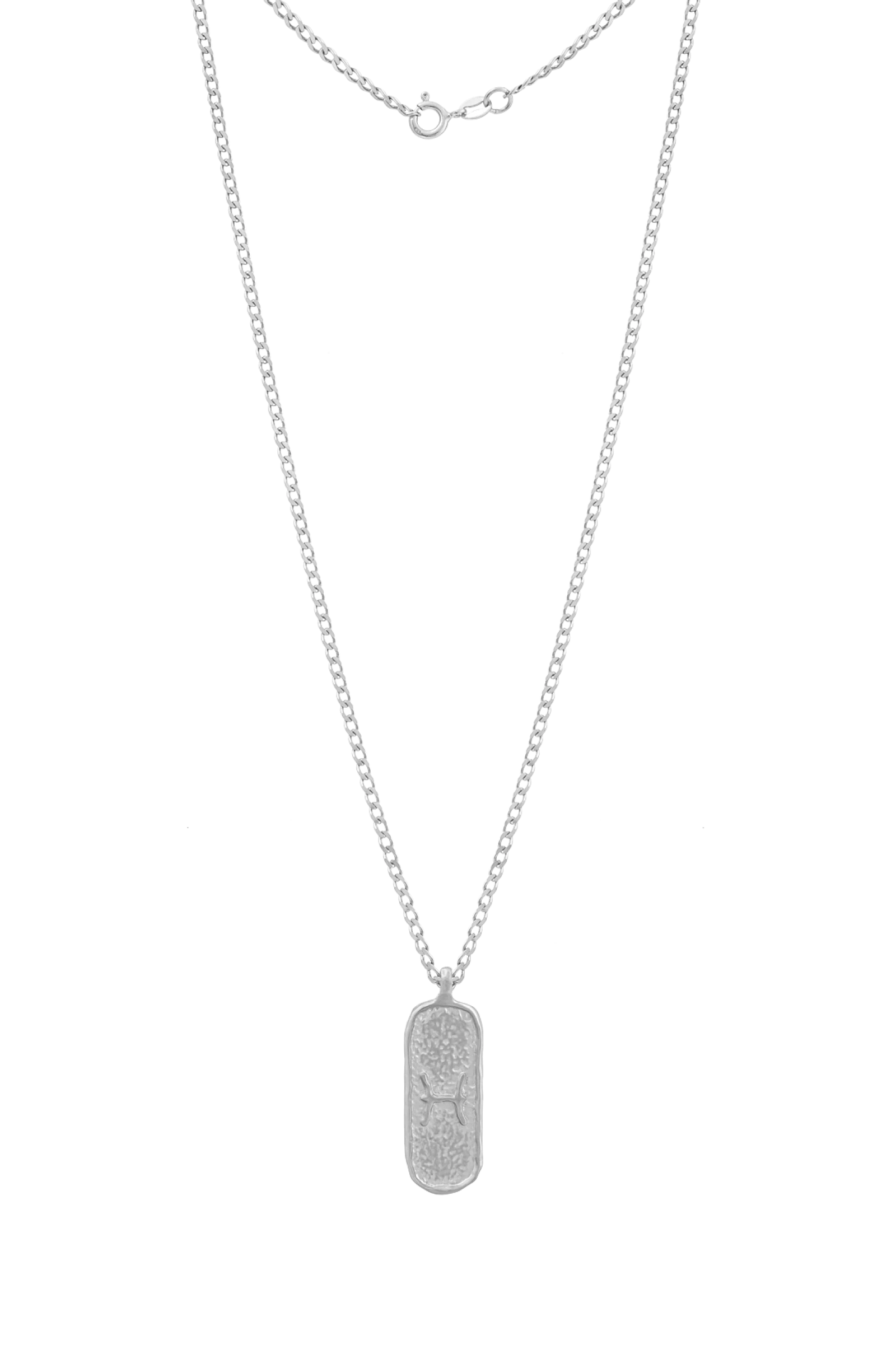 Męski Naszyjnik ZODIAK RYBY SILVER