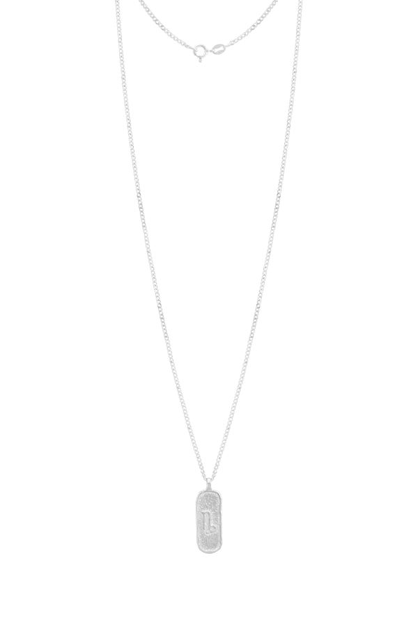 Męski Naszyjnik ZODIAK KOZIOROŻEC SILVER