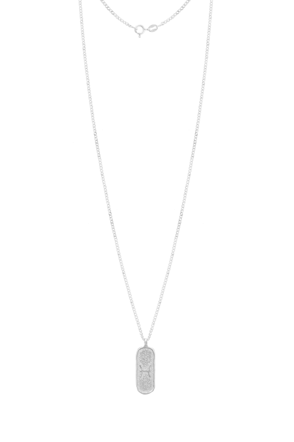 Naszyjnik ZODIAK RYBY SILVER Naszyjnik ZODIAK RYBY SILVER