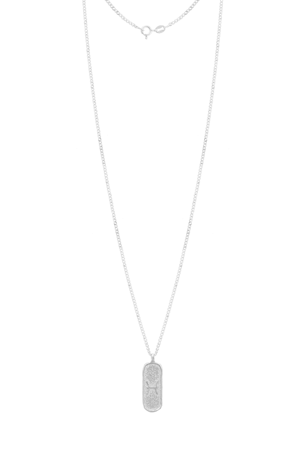 Naszyjnik ZODIAK RYBY SILVER
