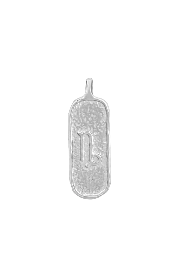 Męski Naszyjnik ZODIAK KOZIOROŻEC SILVER