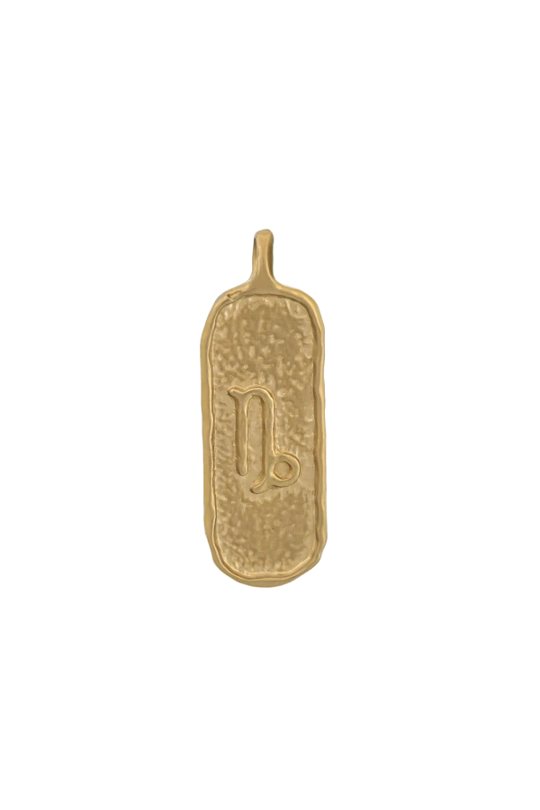 Męski Naszyjnik ZODIAK KOZIOROŻEC GOLD