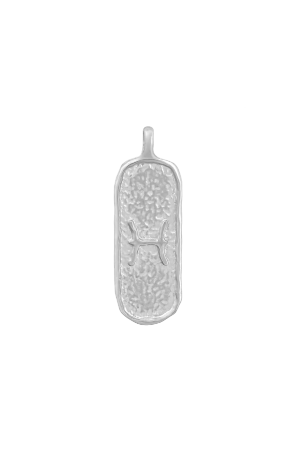 Naszyjnik ZODIAK RYBY SILVER