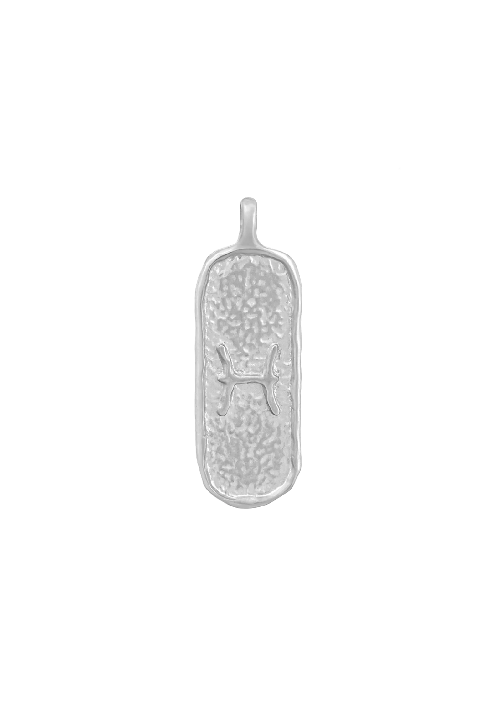 Męski Naszyjnik ZODIAK RYBY SILVER