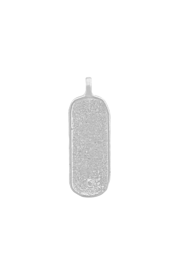 Naszyjnik ZODIAK RYBY SILVER