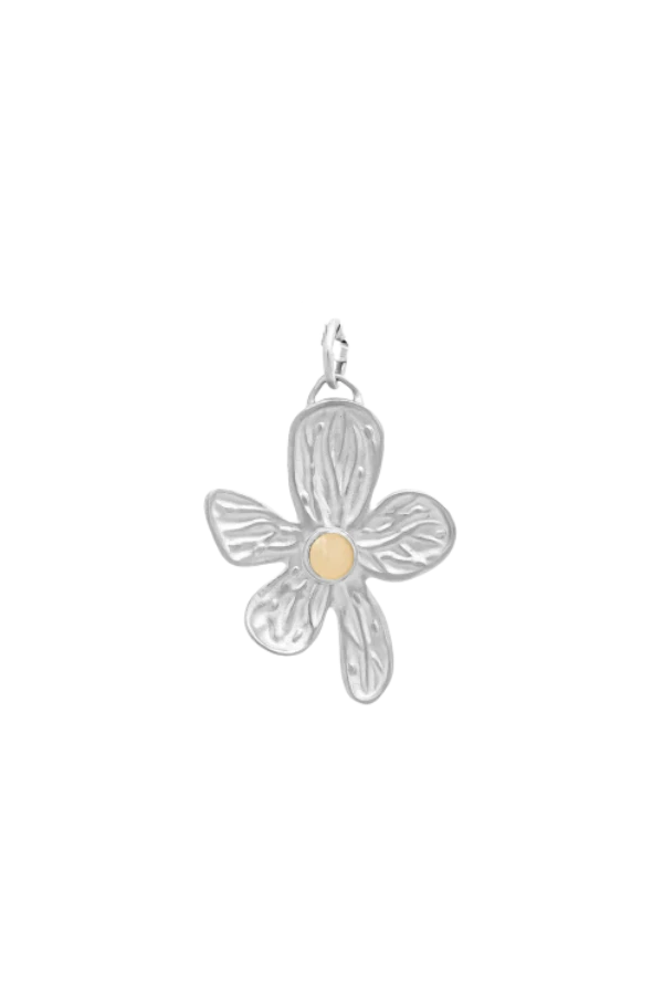 Zawieszka WĘCH ANKIER SILVER