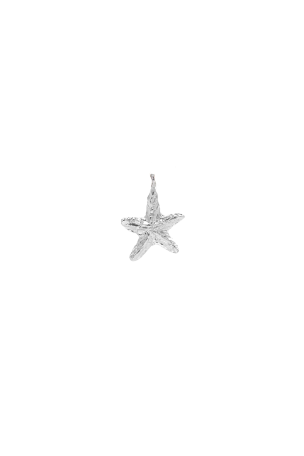 Zawieszka STARFISH SILVER